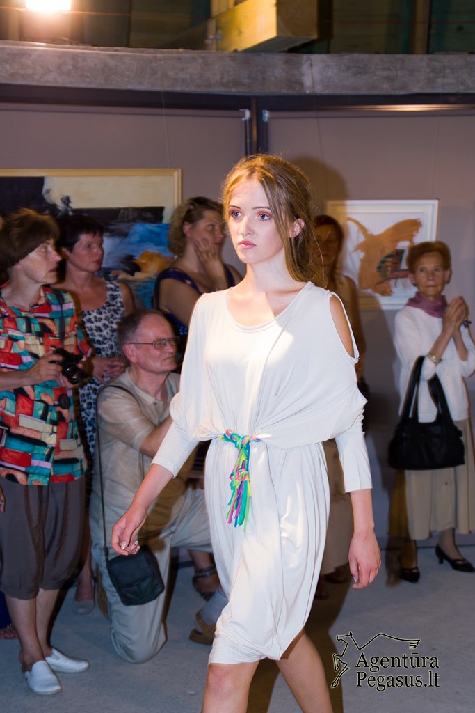 20130808_Kauno_pilis_017
