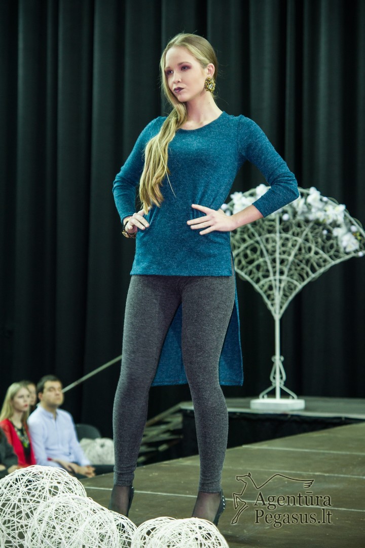internetui_20151205_Kauno_hale_004